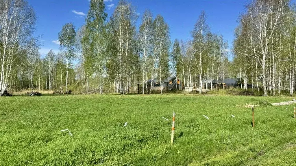 Участок в Тюменская область, Тюменский район, Нива СНТ ул. Городская, ... - Фото 0