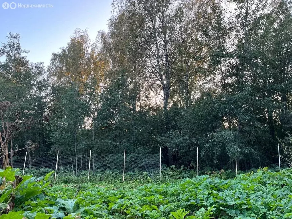 Участок в Московская область, городской округ Истра, деревня Алексино ... - Фото 0