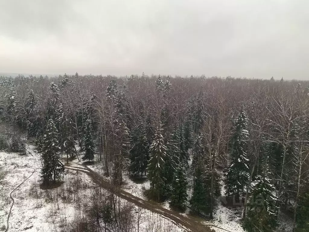 3-к кв. Московская область, Одинцовский городской округ, пос. Горки-10 ... - Фото 1