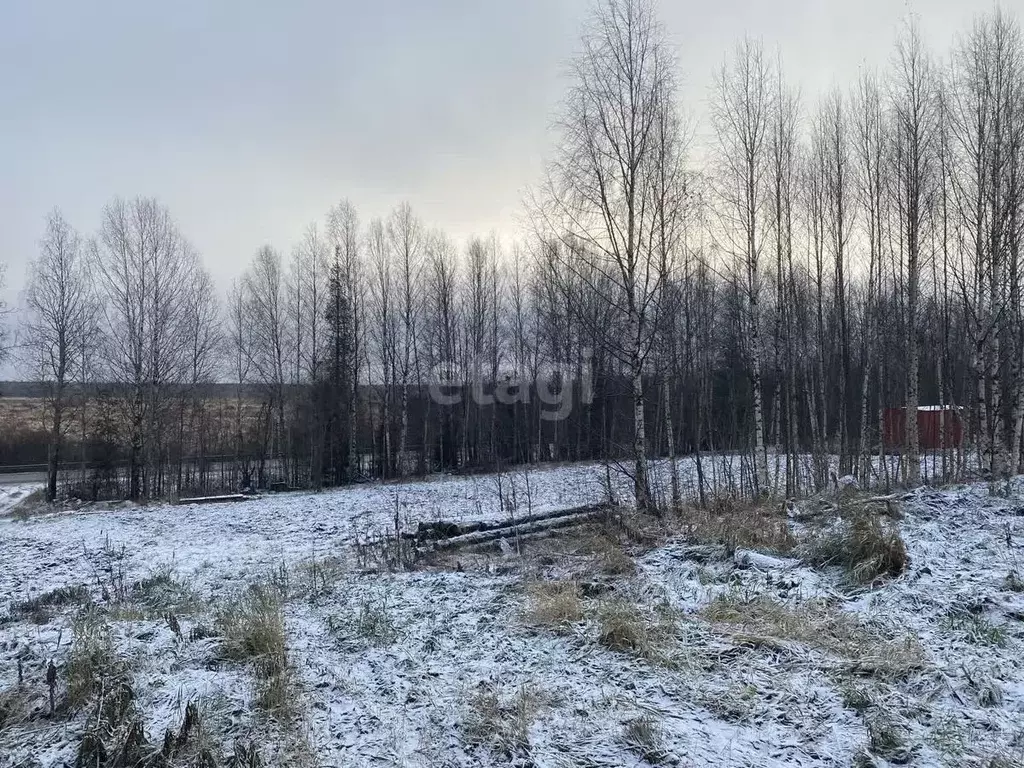 Участок в Коми, Сыктывдинский район, Лэзым муниципальное образование, ... - Фото 2