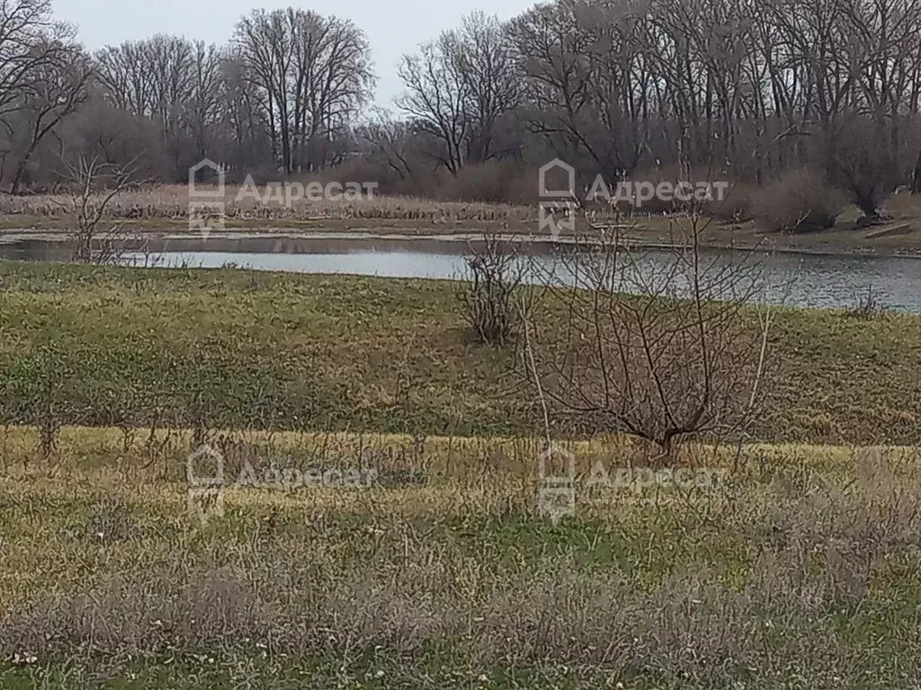 Участок в Волгоградская область, Среднеахтубинский район, Ахтубинское ... - Фото 1
