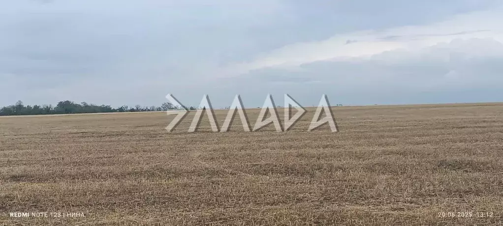 Участок в Ростовская область, Мясниковский район, Чалтырское с/пос, № ... - Фото 1