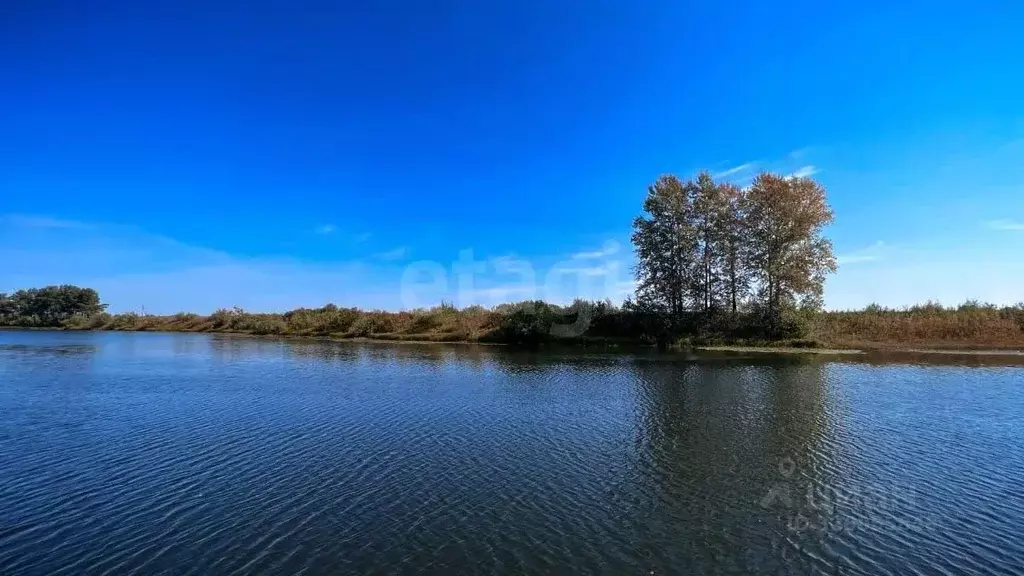 Участок в Новосибирская область, Колыванский район, Сибирская Волость ... - Фото 2