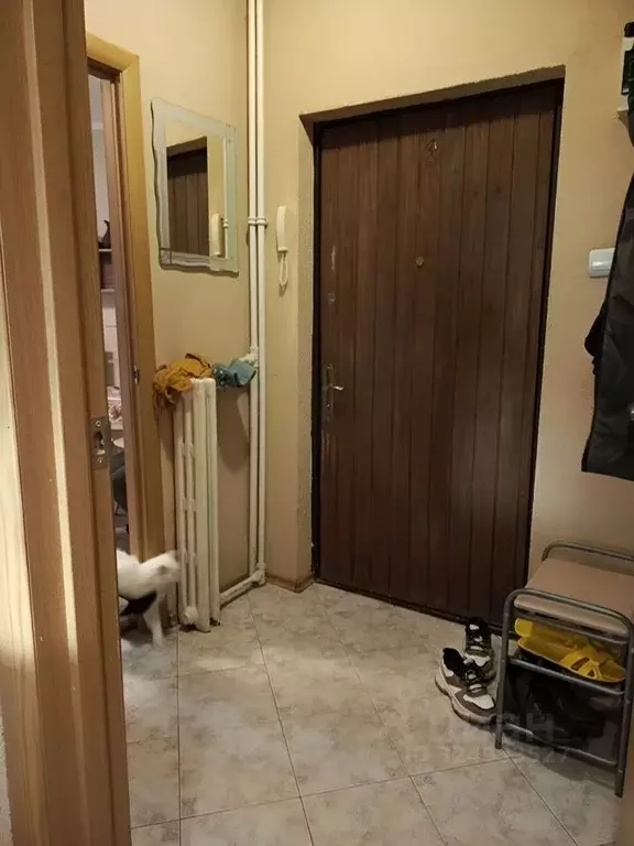 1-к кв. Ленинградская область, Выборг ул. Куйбышева, 11 (29.0 м) - Фото 2