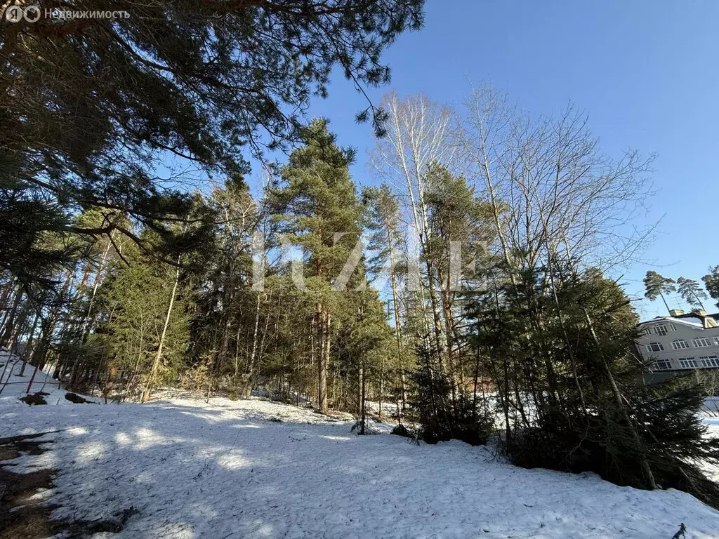 Участок в Одинцовский городской округ, село Иславское (14.38 м) - Фото 2