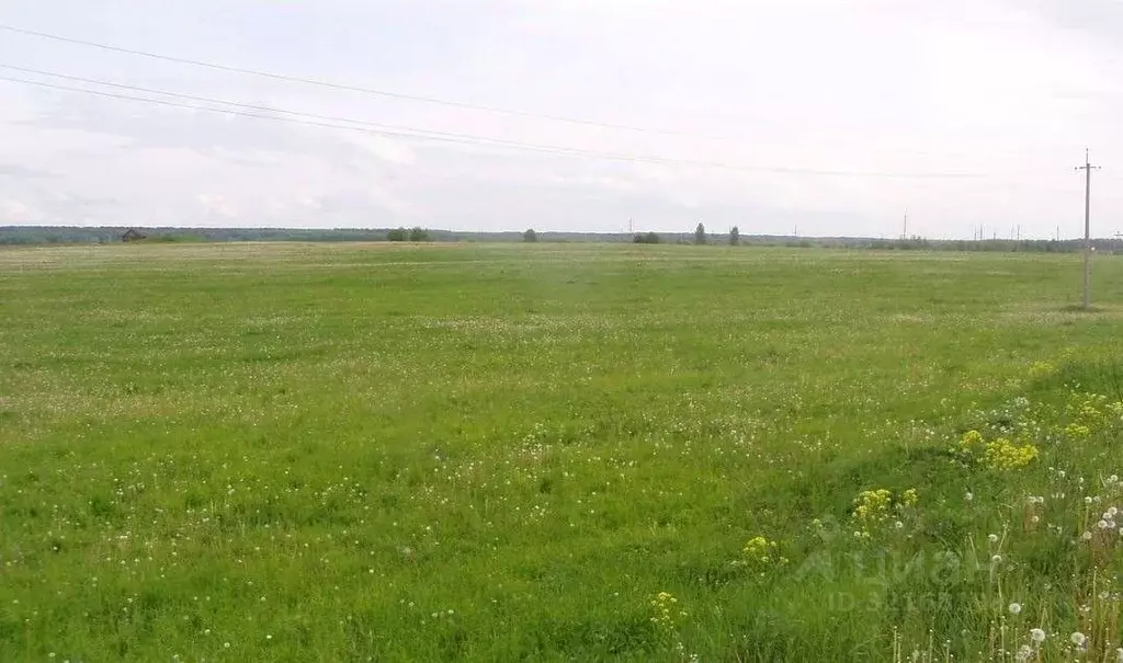 Участок в Оренбургская область, Оренбург Молодой Оренбург жилрайон,  ... - Фото 1