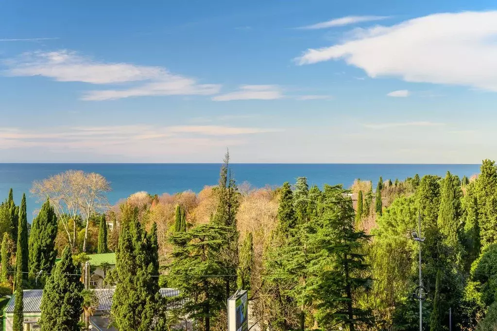 3-к кв. Краснодарский край, Сочи Виноградная ул., 4 (120.0 м) - Фото 2