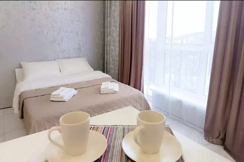 Студия Крым, Ялта муниципальный округ, Виноградное пгт ш. ... - Фото 1