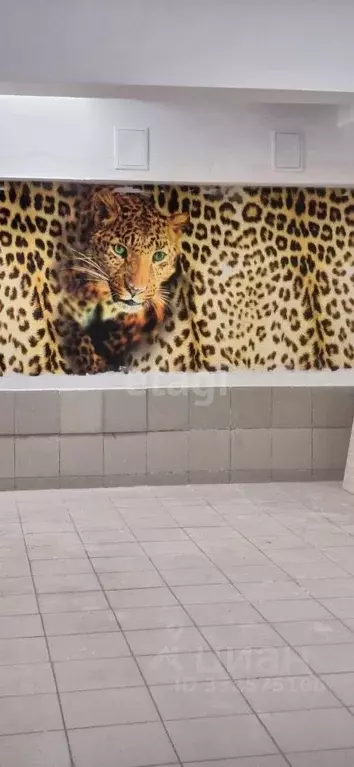 Торговая площадь в Башкортостан, Уфа ул. Георгия Мушникова, 28 (182 м) - Фото 2