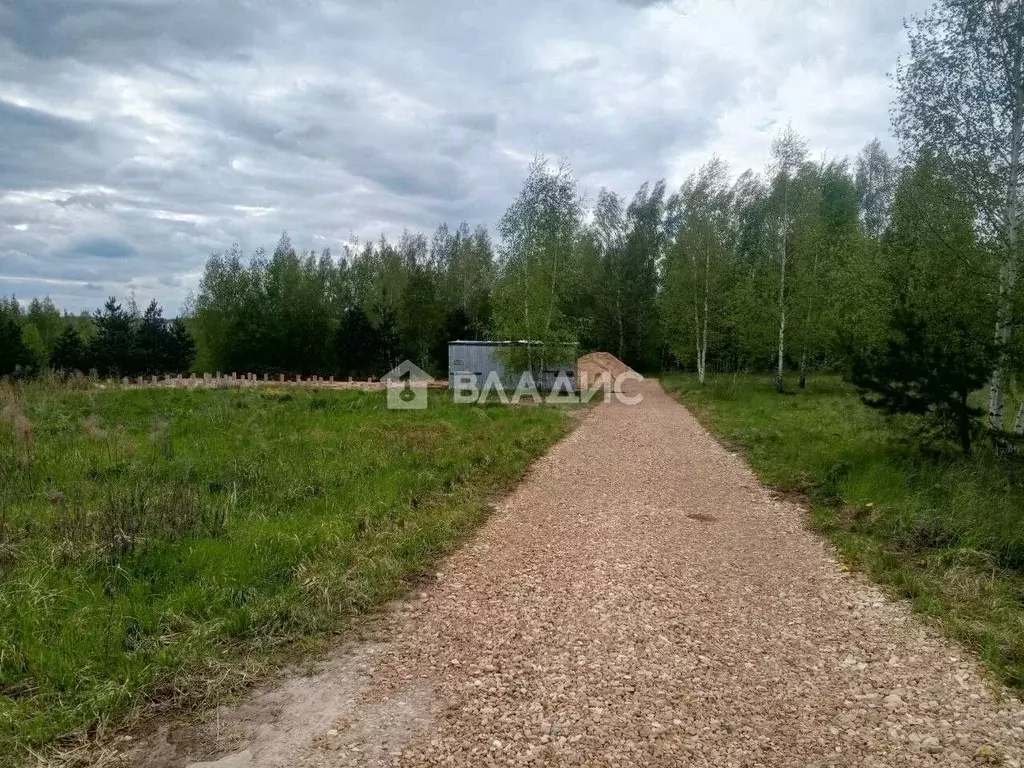Участок в Нижегородская область, Богородский муниципальный округ, д. ... - Фото 1