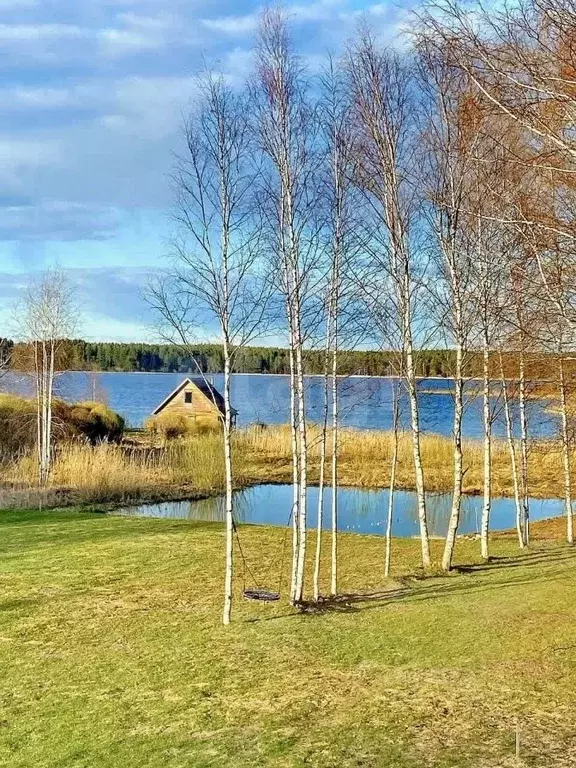 Дом в Тверская область, Осташковский муниципальный округ, д. Горбово  ... - Фото 1