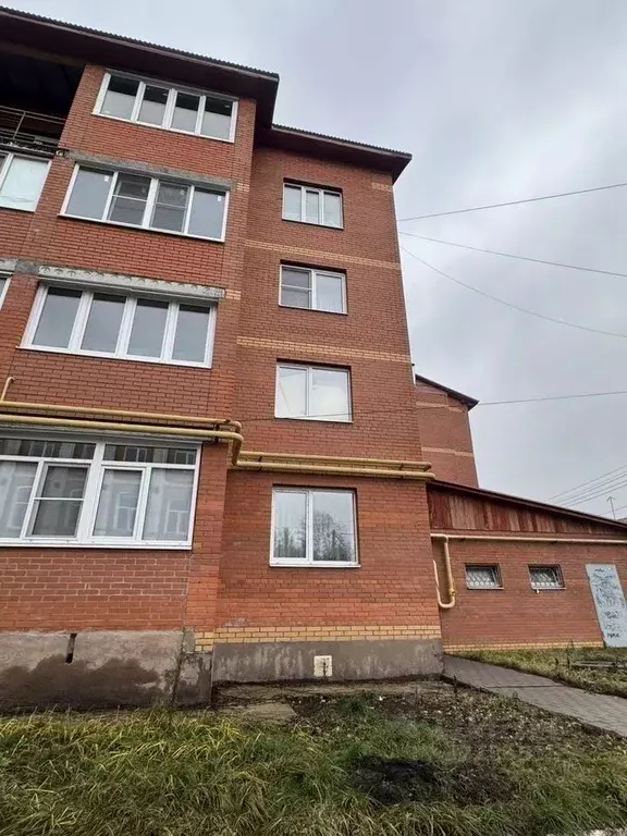 1-к кв. Московская область, Дрезна Орехово-Зуевский городской округ, ... - Фото 1