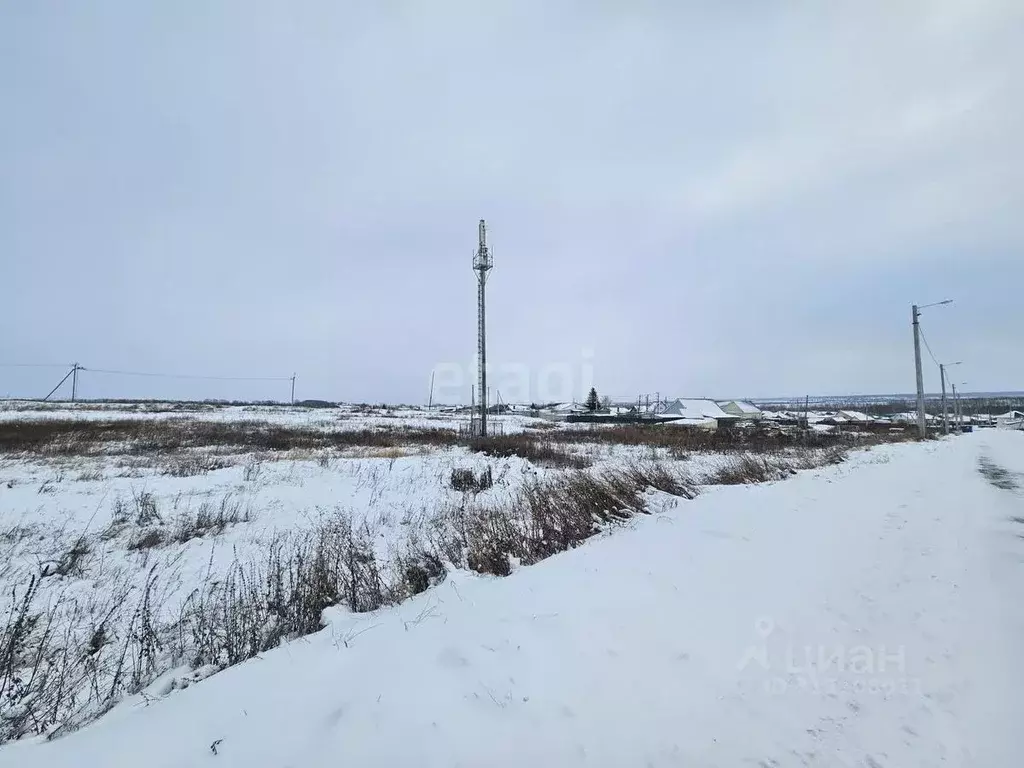 Участок в Ульяновская область, Ульяновск городской округ, с. Арское ... - Фото 1