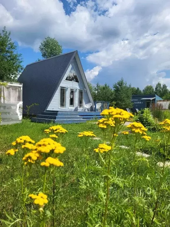 Дом в Пермский край, д. Одина ул. Мысовая, 4А (26 м) - Фото 0