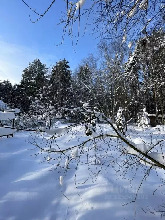 Участок в Московская область, Раменский муниципальный округ, Дубрава ... - Фото 2