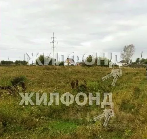 Участок в Новосибирская область, Новосибирский район, с. Ярково ул. ... - Фото 0