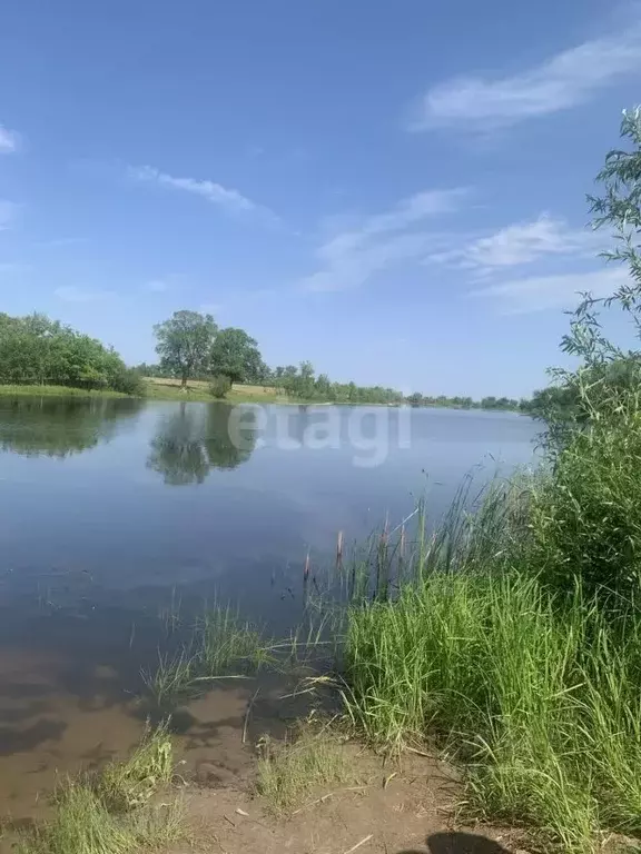 Участок в Саратовская область, Энгельсский район, Красноярское ... - Фото 0