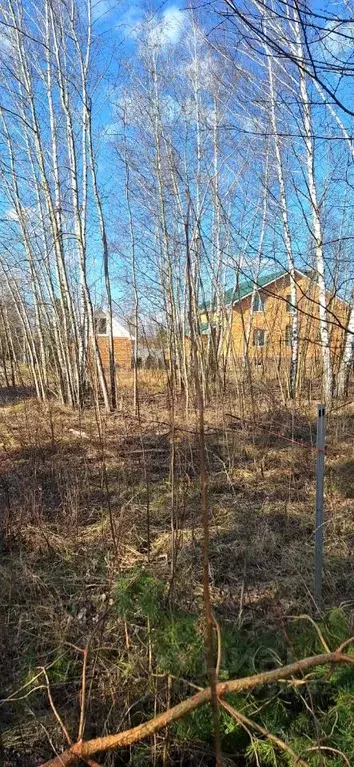 Участок в Воронежская область, Рамонский район, Айдаровское с/пос, ... - Фото 2