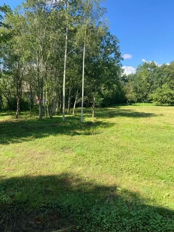 Участок в Ленинградская область, Гатчинский муниципальный округ, д. ... - Фото 2