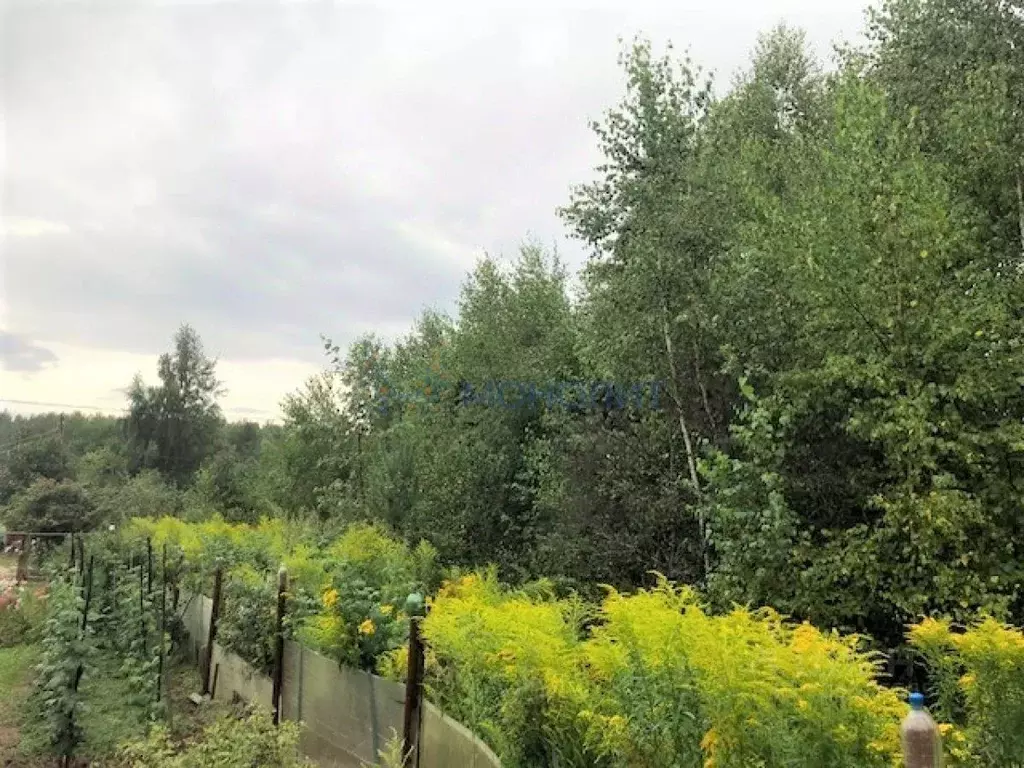 Участок в Нижегородская область, Богородский муниципальный округ, ... - Фото 1