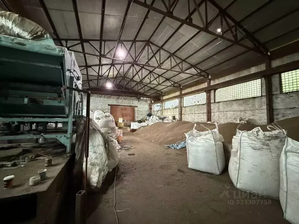 Склад в Воронежская область, Хохольское городское поселение, с. Хохол ... - Фото 1