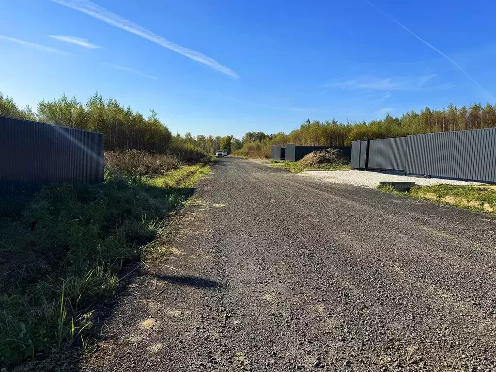 Участок в Московская область, Раменский муниципальный округ, Оттепель ... - Фото 2