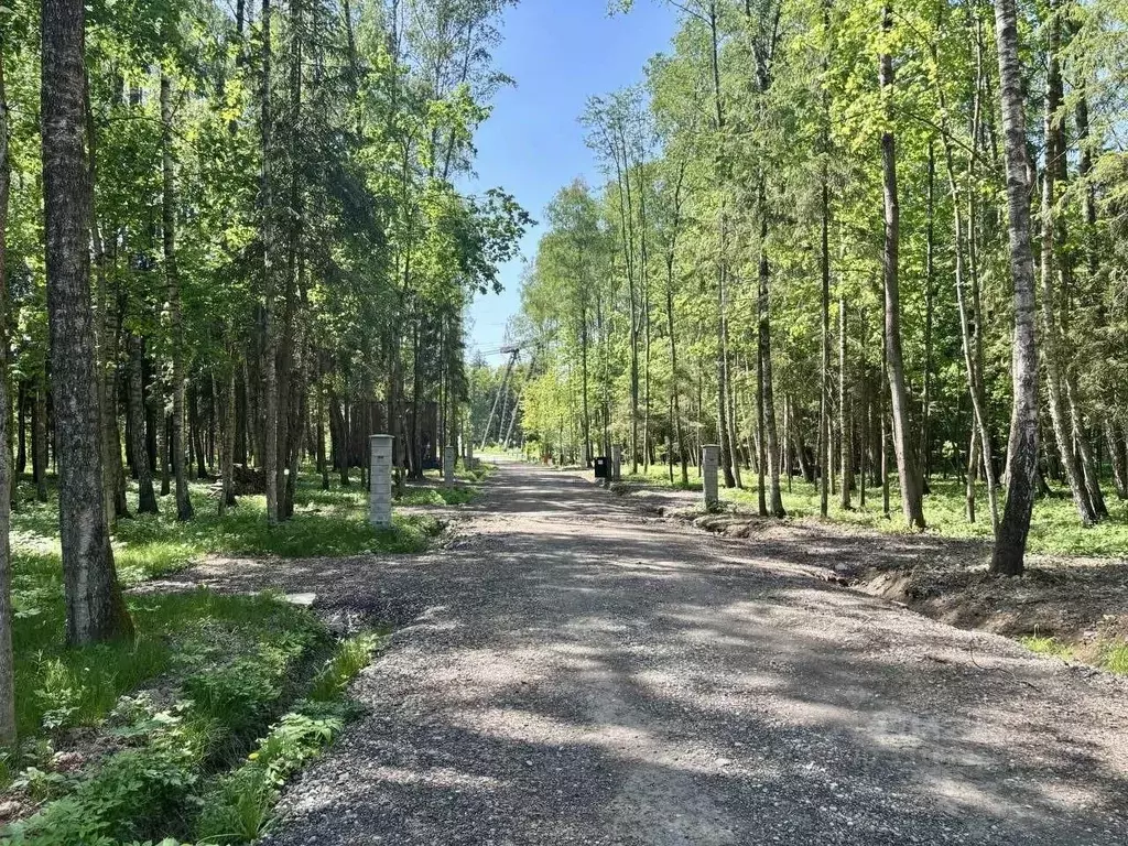 Участок в Московская область, Звенигород Одинцовский городской округ, ... - Фото 2