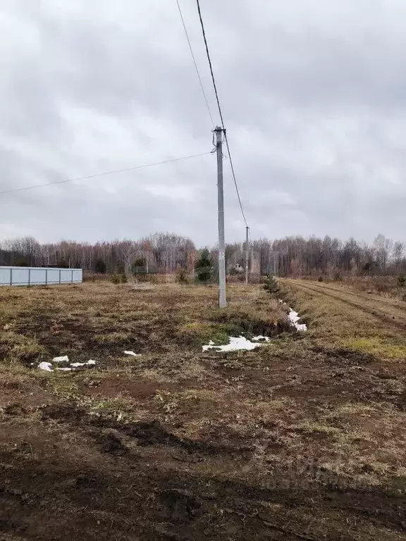 Участок в Тюменская область, Тюменский район, с. Кулига, Кулига-2 мкр  ... - Фото 1