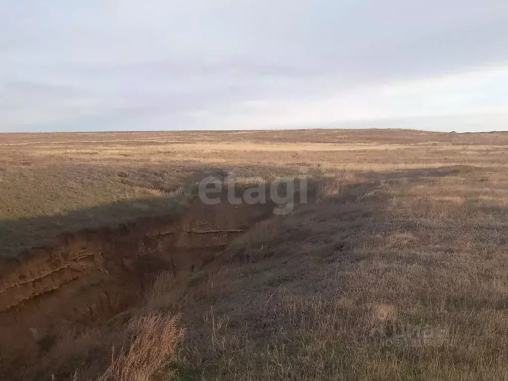 Участок в Крым, Ленинский район, Семисотское с/пос, с. Каменское ул. ... - Фото 0