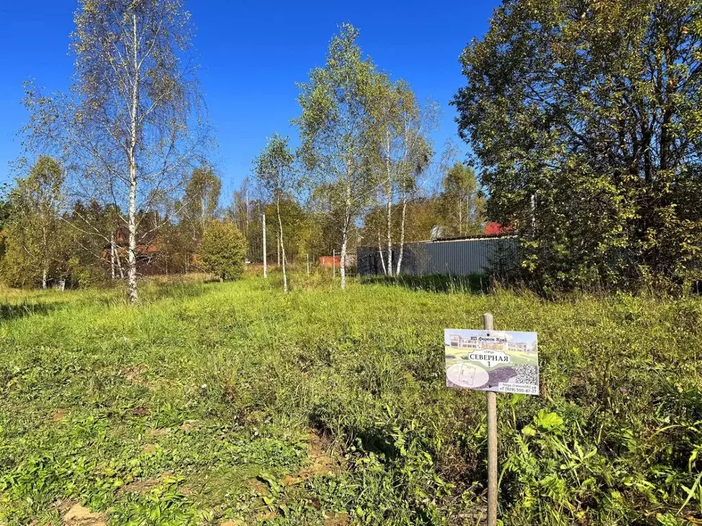 Участок в Московская область, Дмитровский муниципальный округ, Форест ... - Фото 1