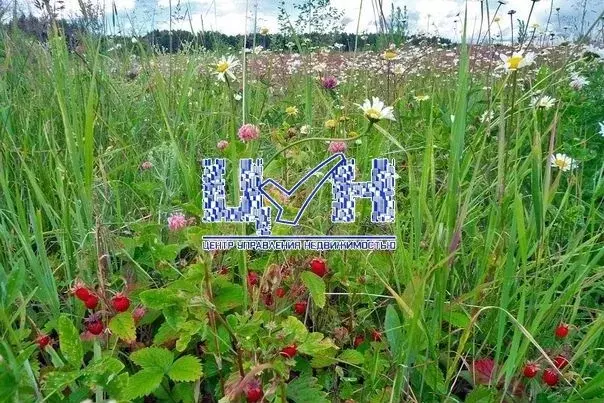Участок 10 сот. (ИЖС) - Фото 1
