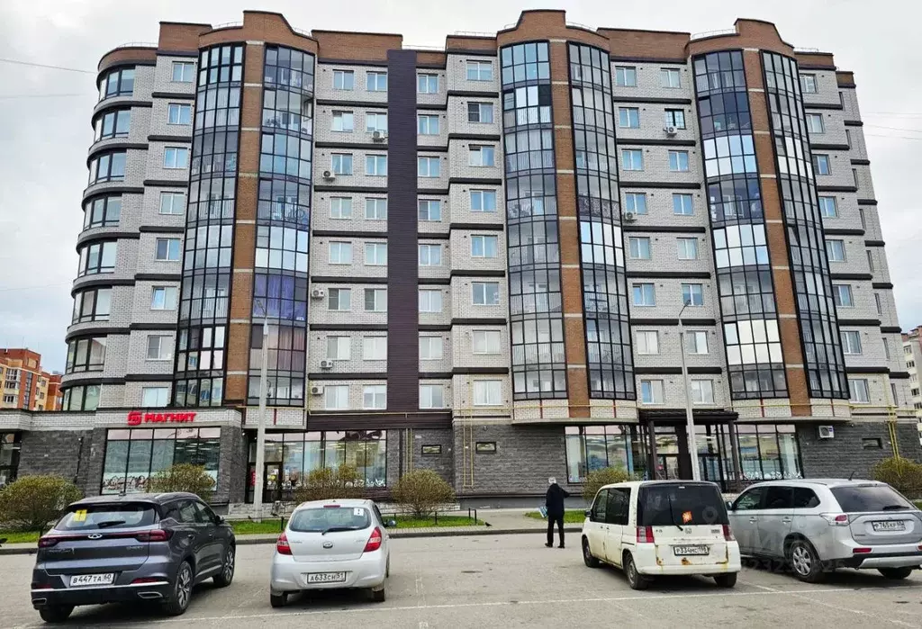 1-к кв. Псковская область, Псковский район, Завеличенская волость, д. ... - Фото 2