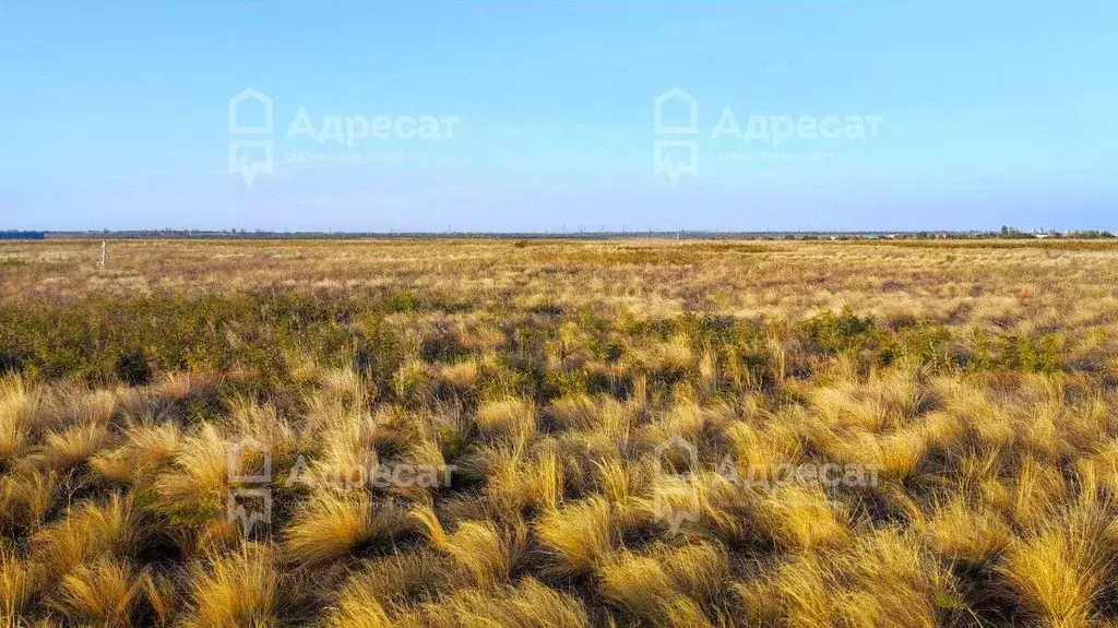 Участок в Волгоградская область, Волгоград Советский пер., 1 (9.6 ... - Фото 1