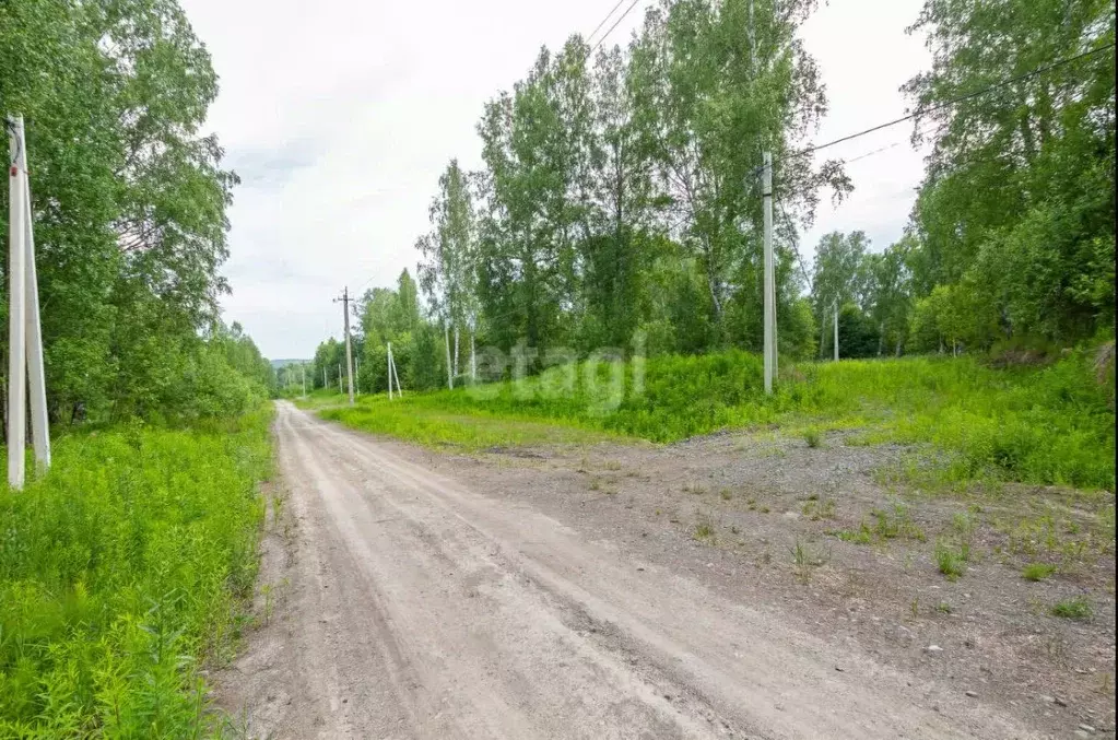 Участок в Новосибирская область, Новосибирский район, Барышевский ... - Фото 1