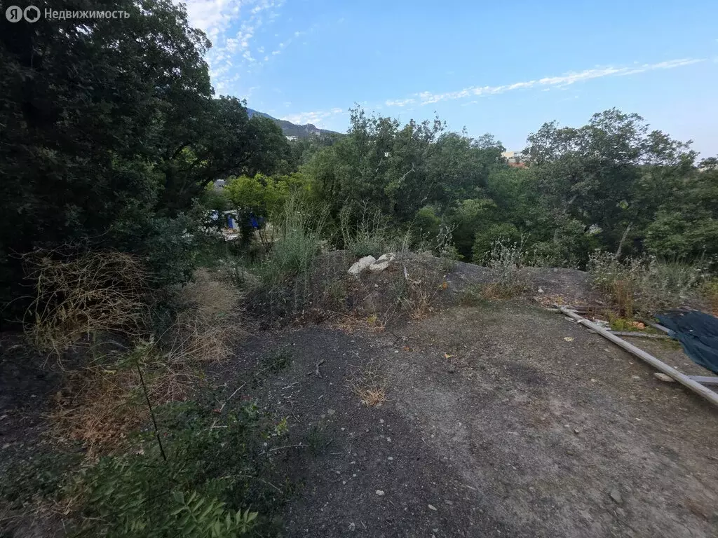 Участок в Республика Крым, Ялта (5 м) - Фото 2