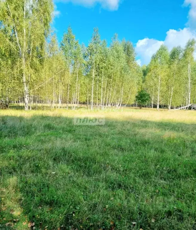 Участок в Нижегородская область, Воротынский муниципальный округ, с. ... - Фото 2