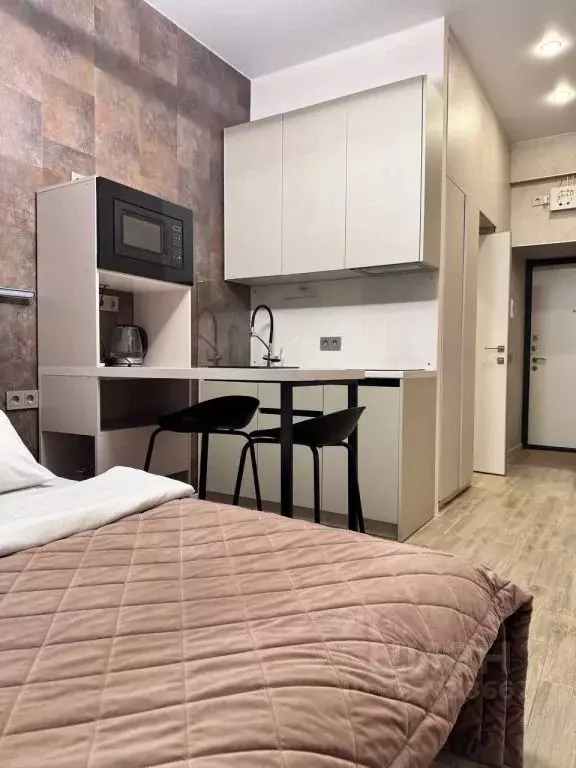 1-к кв. Санкт-Петербург Большой Казачий пер., 10 (20.0 м) - Фото 2