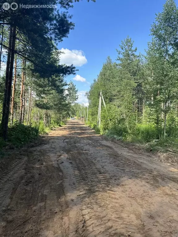 Участок в Нижегородская область, Бор (40 м) - Фото 2