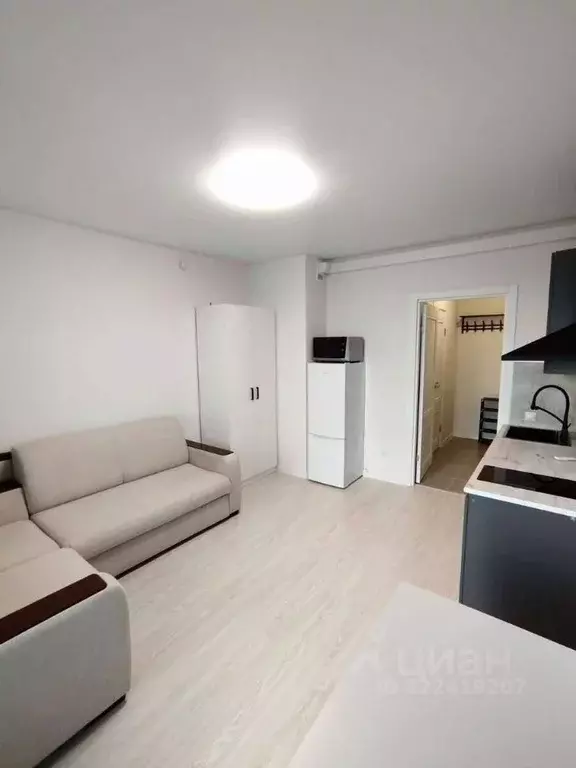 Студия Санкт-Петербург пос. Шушары, просп. Старорусский, 5к2 (20.4 м) - Фото 0