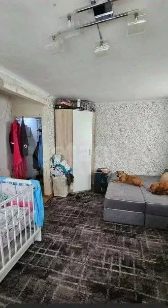 1-к кв. Пермский край, Пермь ул. Крупской, 84А (31.0 м) - Фото 1