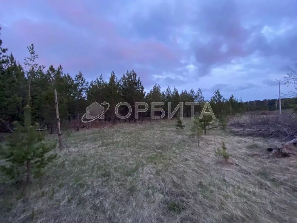 Участок в Свердловская область, Тугулым пгт ул. Новостроящаяся (25.0 ... - Фото 0