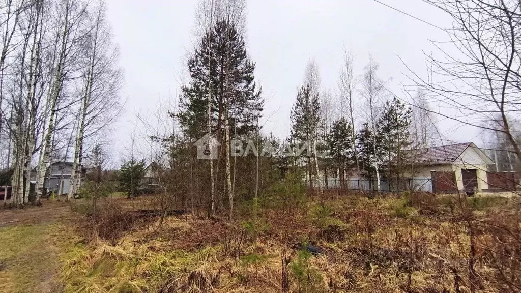 Участок в Владимирская область, Владимир д. Злобино,  (14.0 сот.) - Фото 2