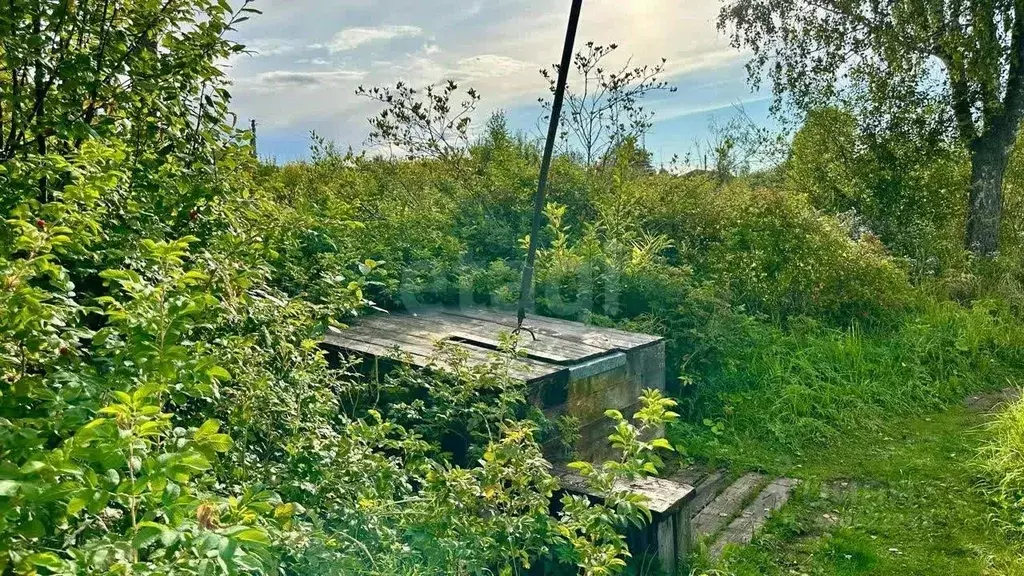 Участок в Вологодская область, Череповецкий район, Судское с/пос, пос. ... - Фото 1