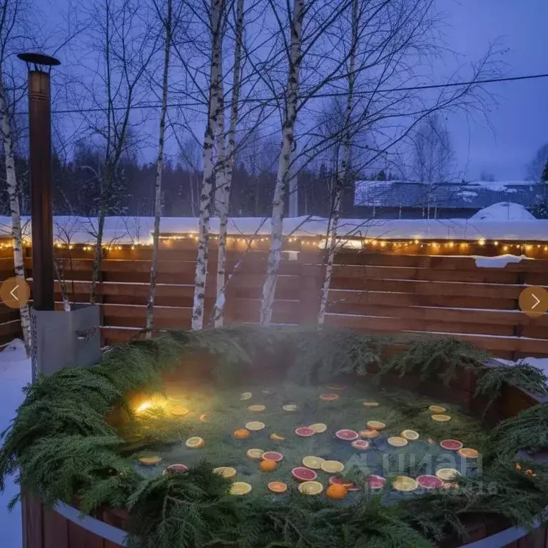 Дом в Московская область, Клин городской округ, д. Степаньково  (55 м) - Фото 2