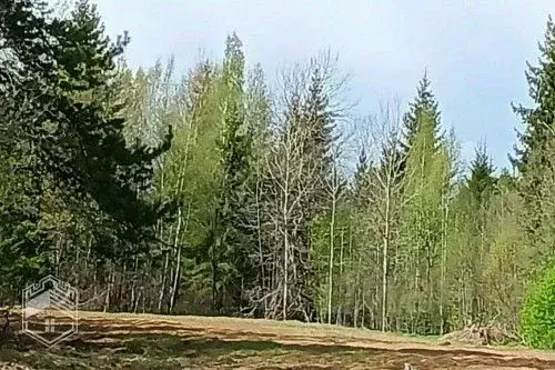 Участок в Новгородская область, Новгородский район, Савинское с/пос, ... - Фото 2