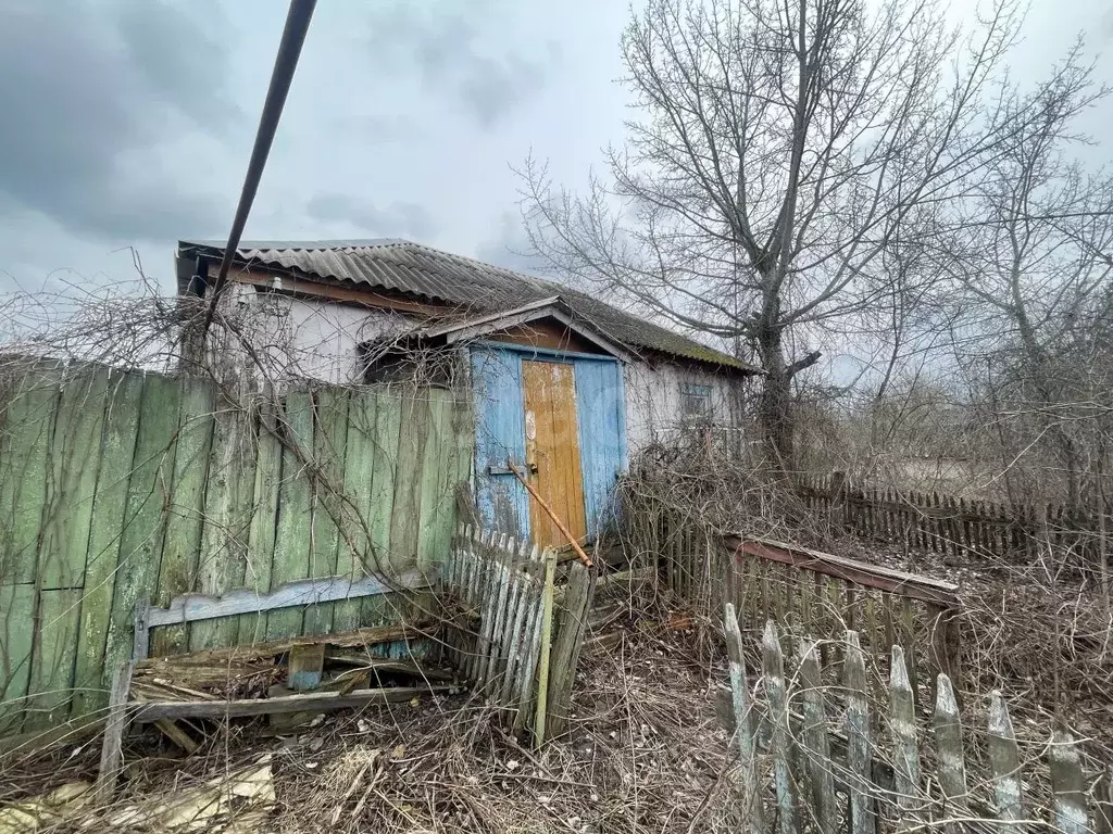 Дом в Белгородская область, Губкинский городской округ, с. Лопухинка ... - Фото 2