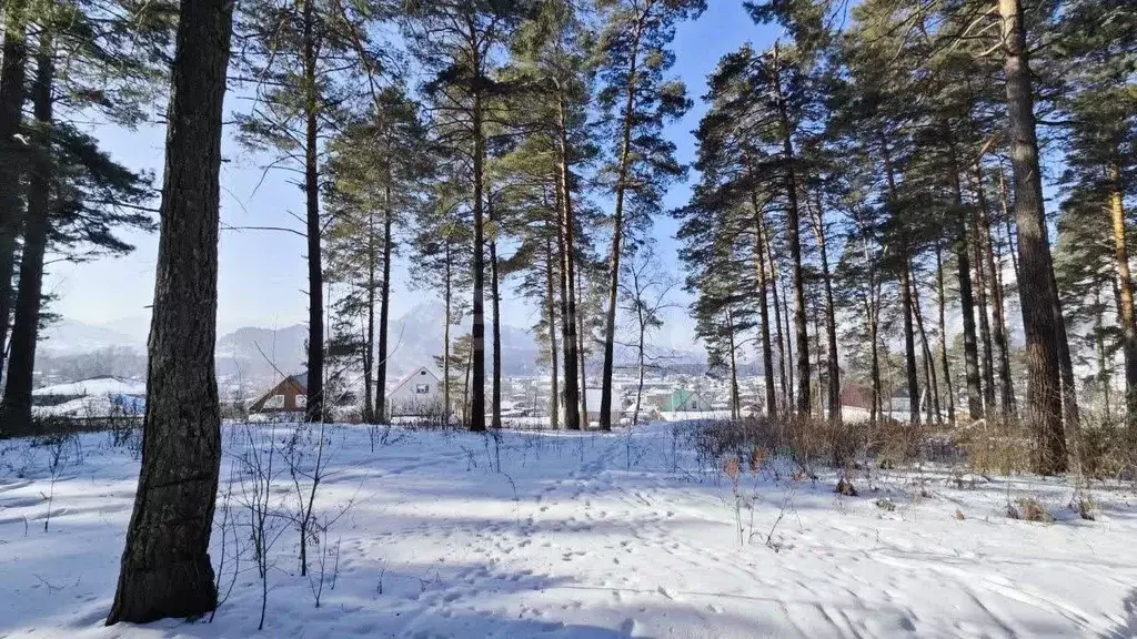 Участок в Алтай, Майминский район, с. Манжерок  (20.0 сот.) - Фото 1