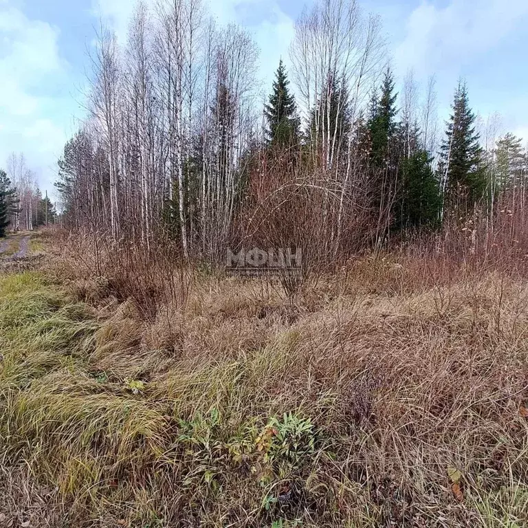 Участок в Карелия, Прионежский район, Деревянское с/пос, Малахит СНТ  ... - Фото 2