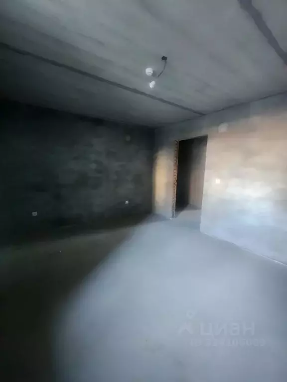 2-к кв. Амурская область, Благовещенский район, с. Чигири ул. ... - Фото 2