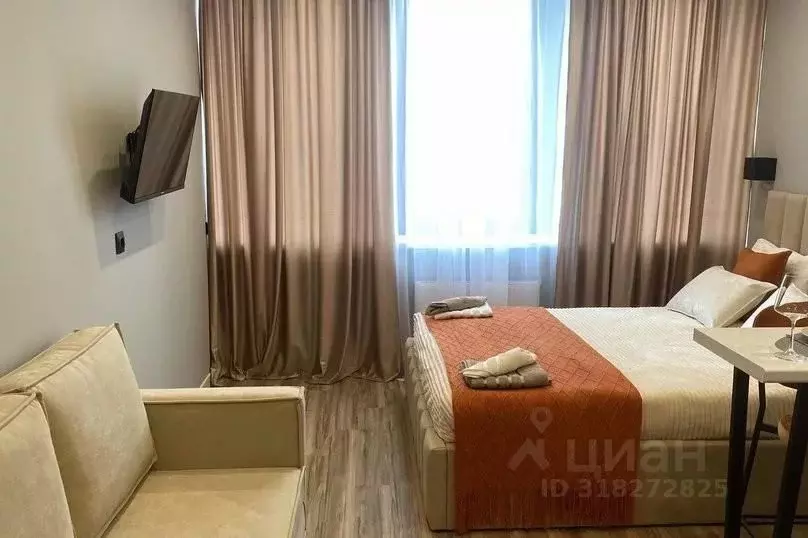 1-к кв. Санкт-Петербург просп. Энергетиков, 2к2 (23.0 м) - Фото 1